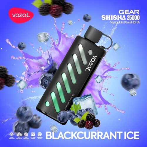 Vozol Vape Gear Shisha 25000 - Blackcurrant Ice