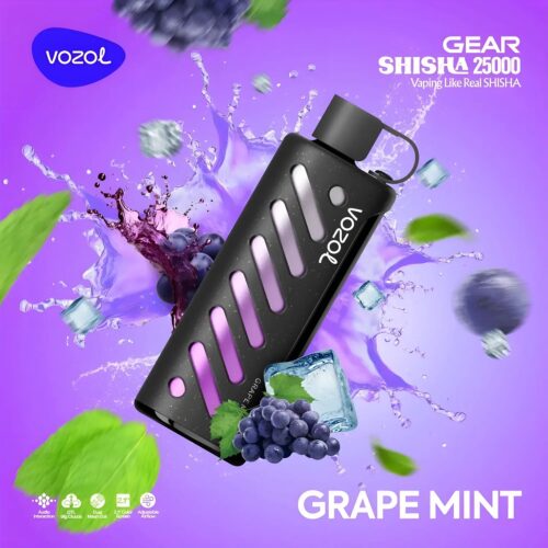Vozol Vape Gear Shisha 25000 - Grape Mint