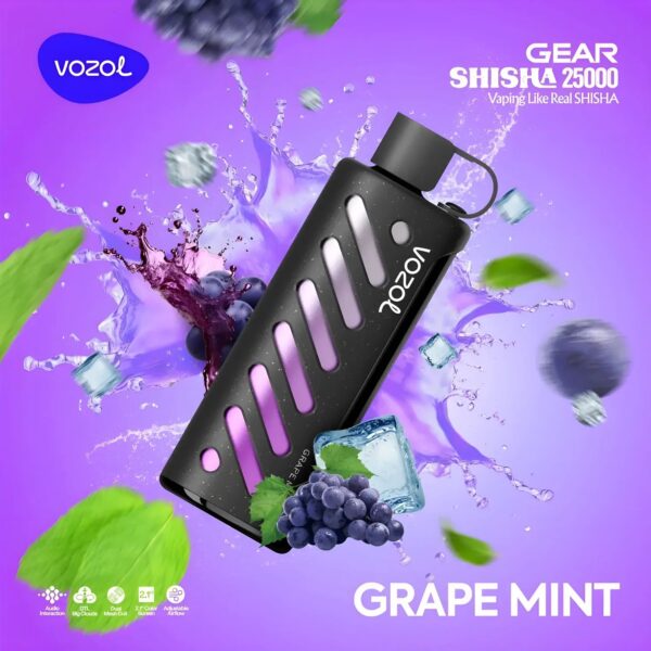 Vozol-Vape-Gear-Shisha-25000-Grape-Mint Vozol Vape Gear Shisha 25000