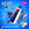 Vozol-Vape-Star-20000-Blueberry-Storm-1-1 Vozol Vape Star 20000 - Blueberry Storm